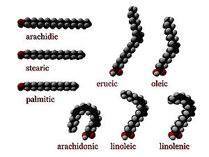 omega 3 fatty acids